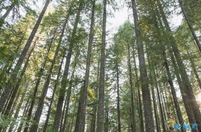 新华财经盘点：2019年区块链行业十件大事